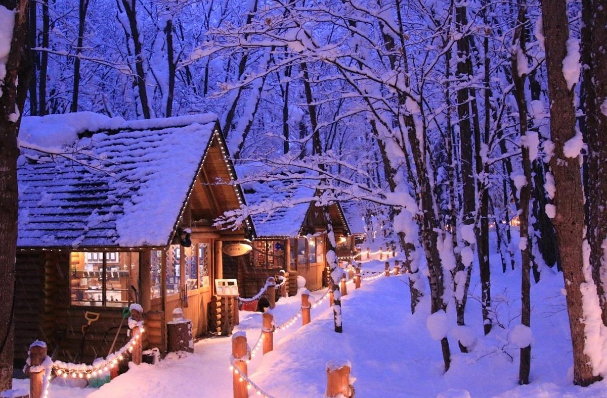 🏂 후라노 스키장 후라노 존 (富良野スキー場 富良野ZONE) 이미지 8